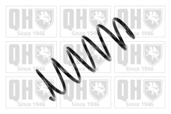 Suspension Spring (QCS5333)