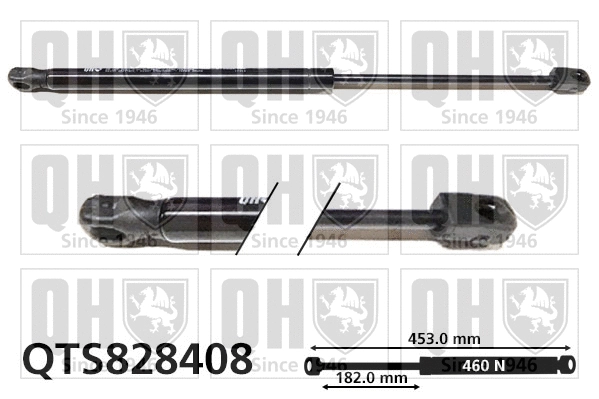 Gas Spring, boot/cargo area (QTS828408)