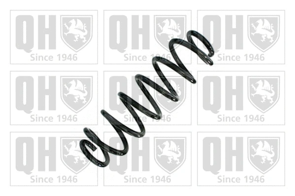 Suspension Spring (QCS9121)