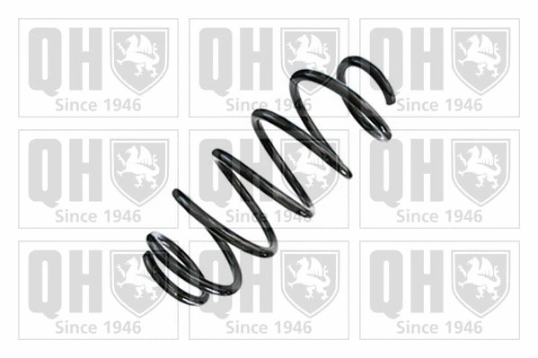 Suspension Spring (QCS8845)