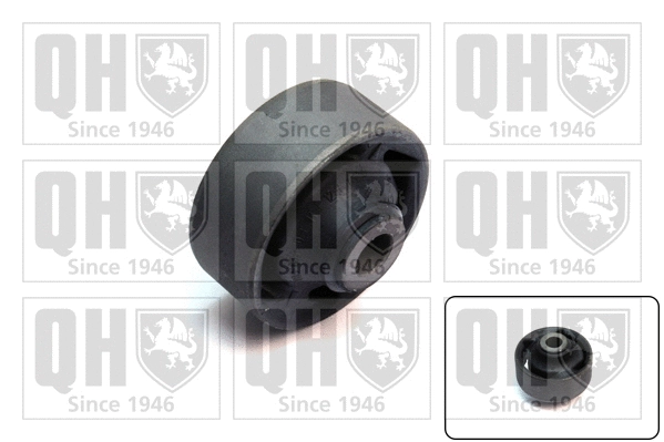Mounting, control/trailing arm (EMS8418)
