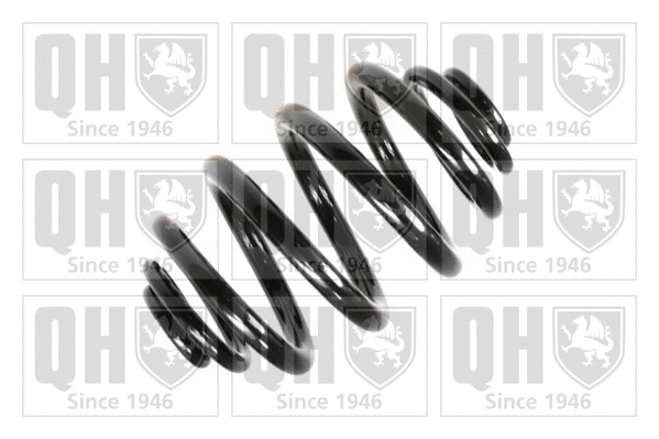 Suspension Spring (QCS5744)
