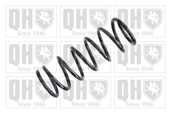 Suspension Spring (QCS5844)