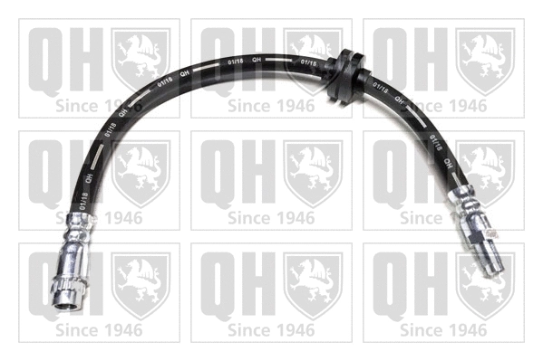 Brake Hose (BFH5929)