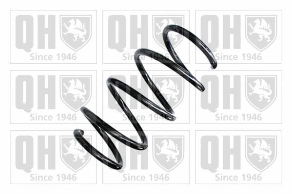 Suspension Spring (QCS8975)