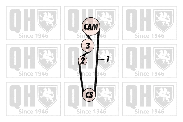 Timing Belt Kit (QBK567)