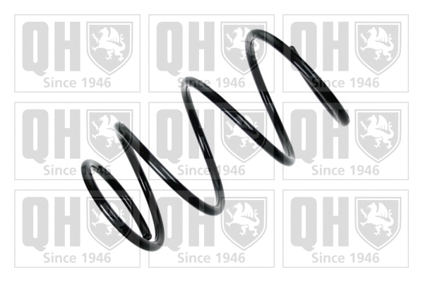 Suspension Spring (QCS7574)
