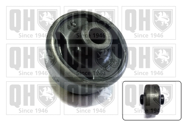 Mounting, control/trailing arm (EMS2658)