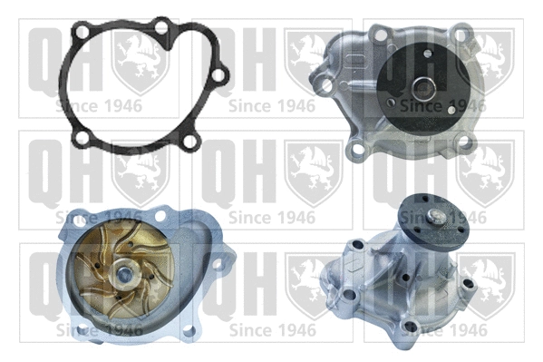 Water Pump, engine cooling (QCP3692)