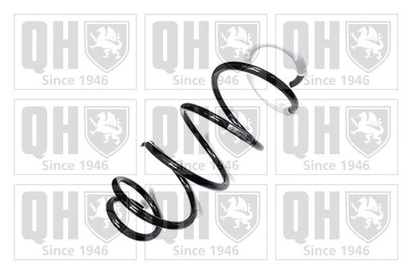 Suspension Spring (QCS9011)