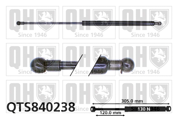 Gas Spring, boot/cargo area (QTS840238)