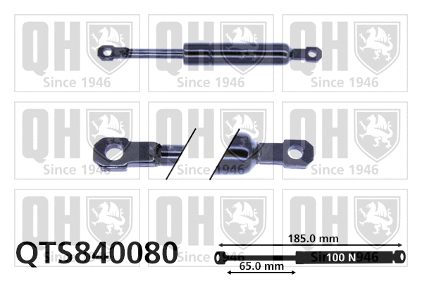 Gas Spring, foldaway table (QTS840080)