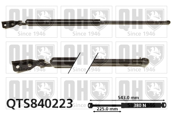 Gas Spring, boot/cargo area (QTS840223)