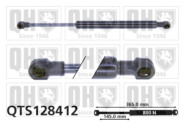 Gas Spring, boot/cargo area (QTS128412)