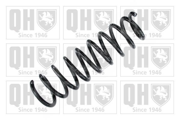 Suspension Spring (QCS8561)