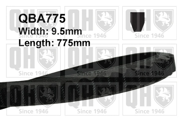 V-Belt (QBA775)