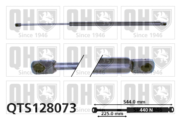 Gas Spring, boot/cargo area (QTS128073)