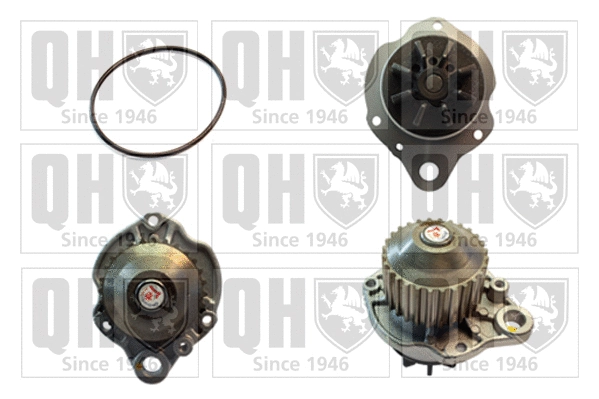 Water Pump, engine cooling (QCP3375)