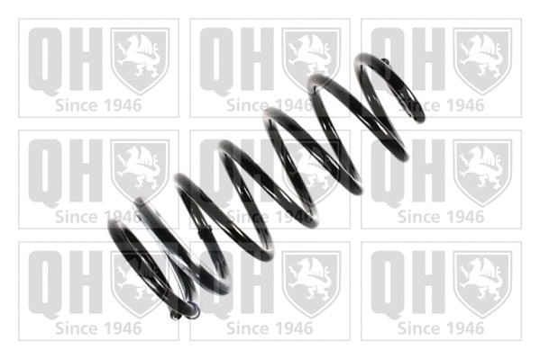 Suspension Spring (QCS5952)
