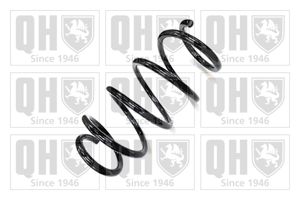Suspension Spring (QCS6793)