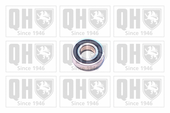 Bearing (XB9918)