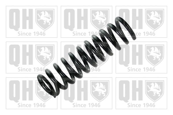 Suspension Spring (QCS8123)