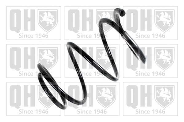 Suspension Spring (QCS6103)