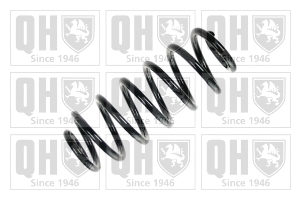 Suspension Spring (QCS7109)
