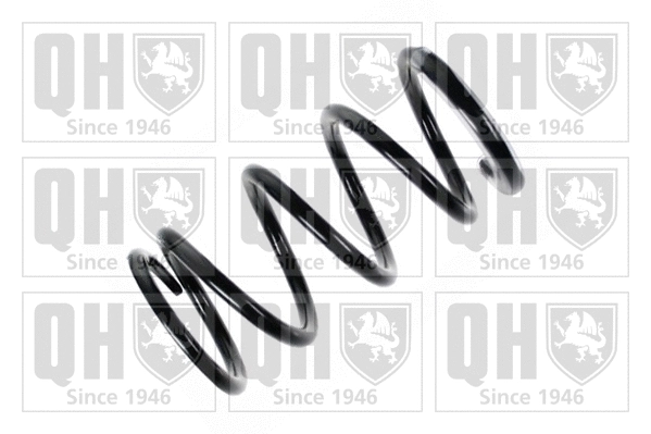 Suspension Spring (QCS5195)