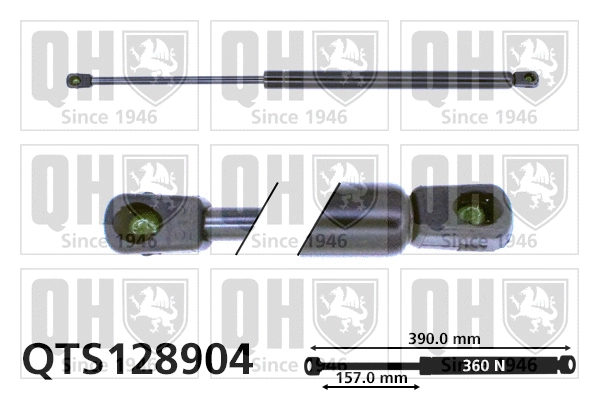 Gas Spring, bonnet (QTS128904)