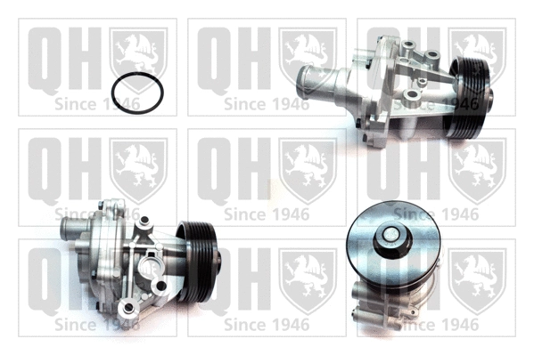 Water Pump, engine cooling (QCP3860)