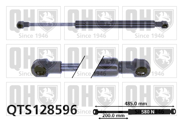Gas Spring, boot/cargo area (QTS128596)