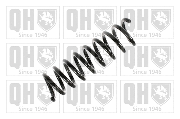 Suspension Spring (QCS6663)