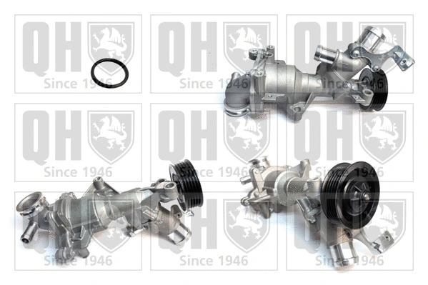 Water Pump, engine cooling (QCP3962)