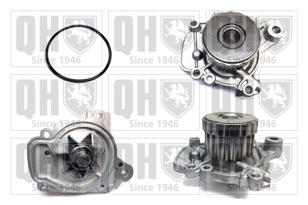 Water Pump, engine cooling (QCP3529)