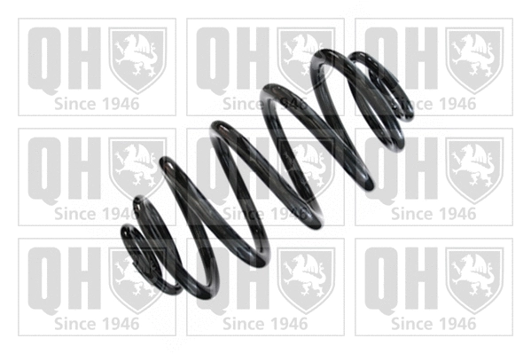 Suspension Spring (QCS6325)