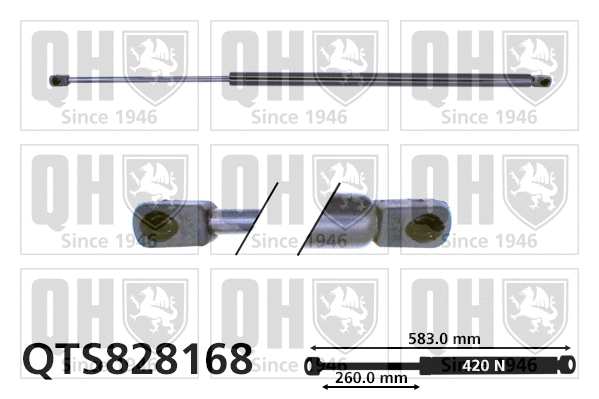 Gas Spring, boot/cargo area (QTS828168)
