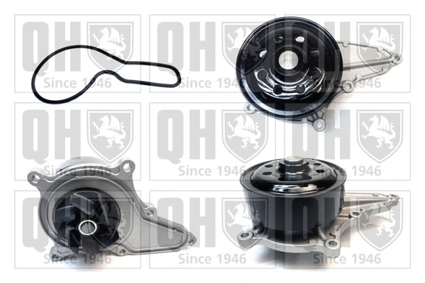 Water Pump, engine cooling (QCP3941)