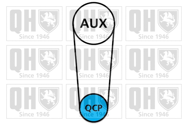 Water Pump & Timing Belt Kit (QBPK9139)