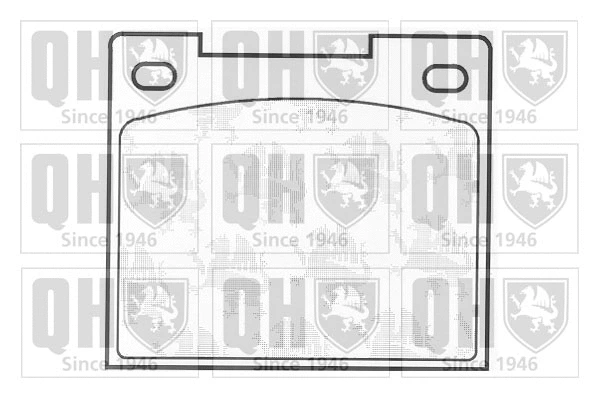 Brake Pad Set, disc brake (BP101)