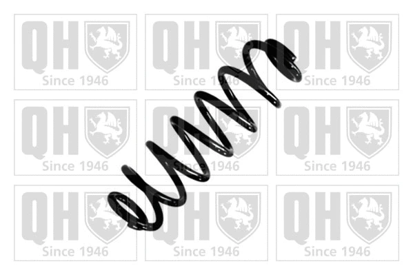 Suspension Spring (QCS9212)