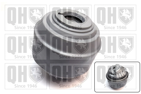 Mounting, engine (EM4800)