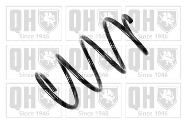 Suspension Spring (QCS6168)