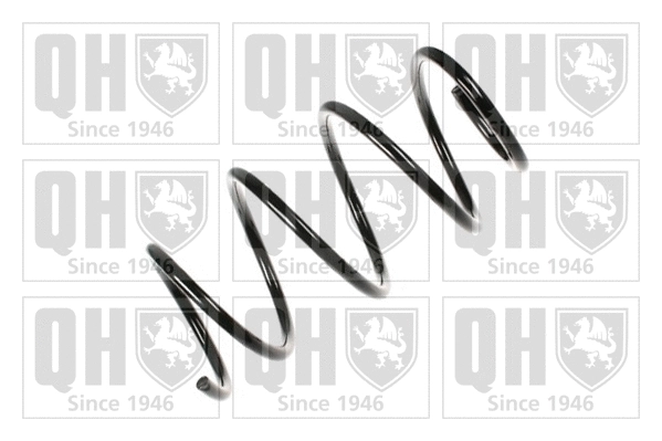 Suspension Spring (QCS6761)