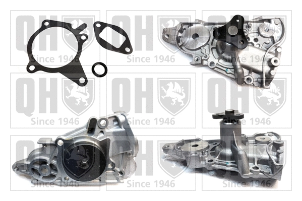 Water Pump, engine cooling (QCP3279)