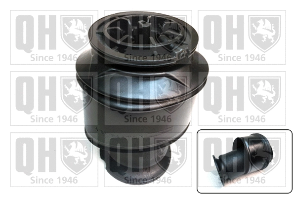 Air Spring, suspension (EMR4938)