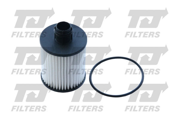 Oil Filter (QFL0303)