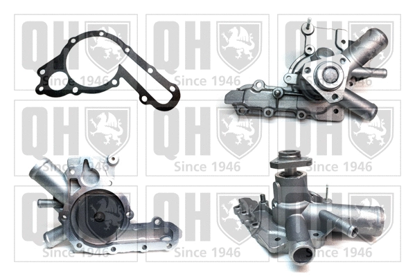 Water Pump, engine cooling (QCP2369)