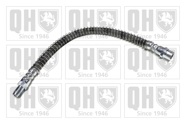 Brake Hose (BFH6120)