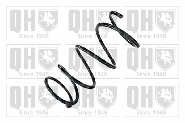 Suspension Spring (QCS8893)